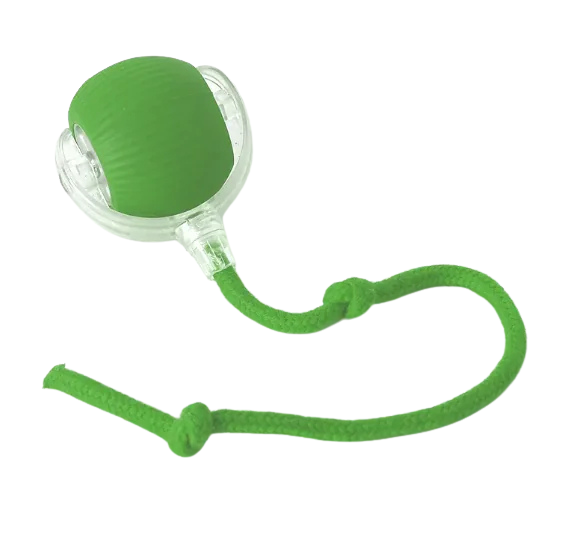 Magic Tail Interactive Cat Toy