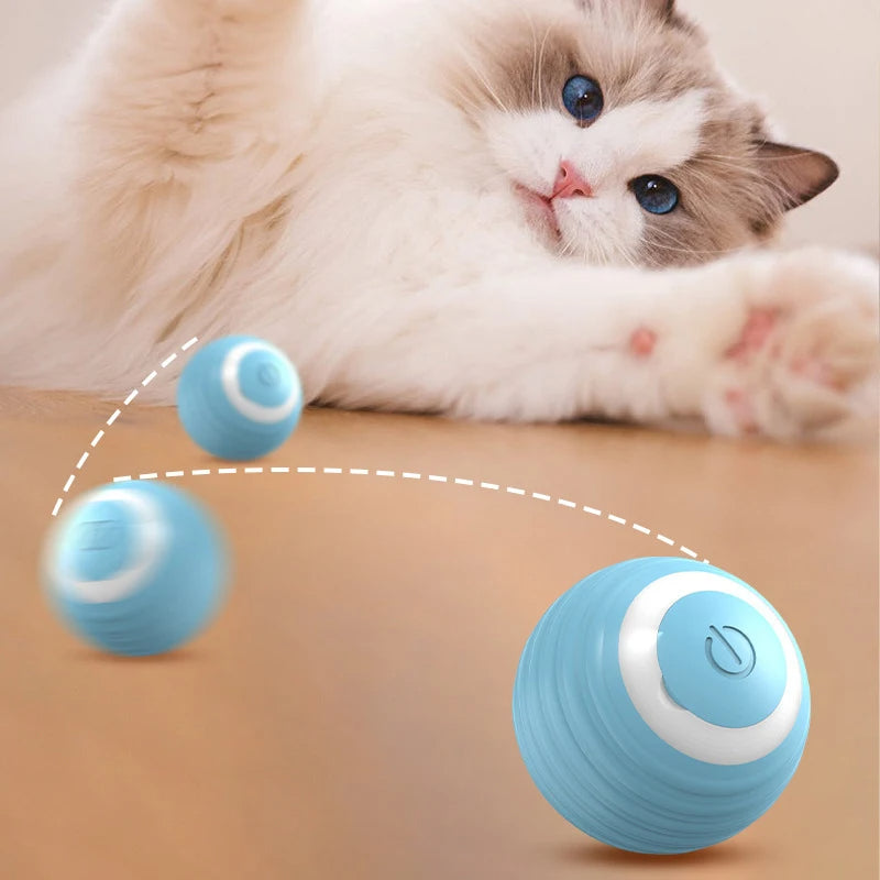 Magic Ball Interactive Cat Toy