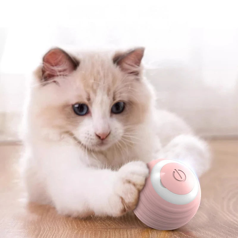 Magic Ball Interactive Cat Toy