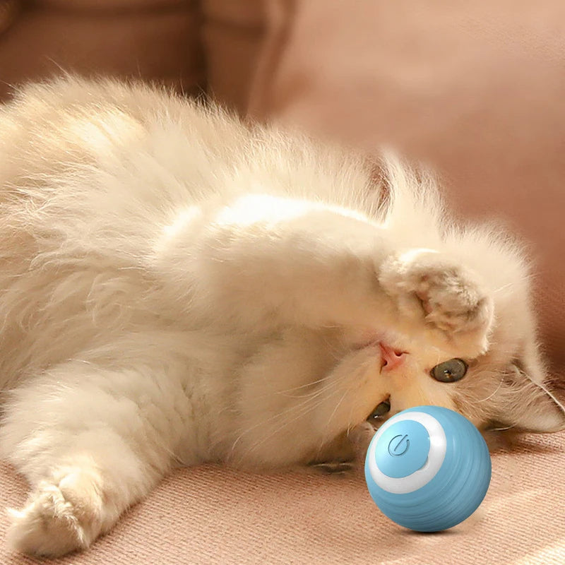 Magic Ball Interactive Cat Toy
