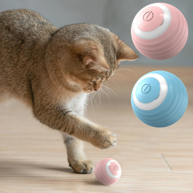 Magic Ball Interactive Cat Toy