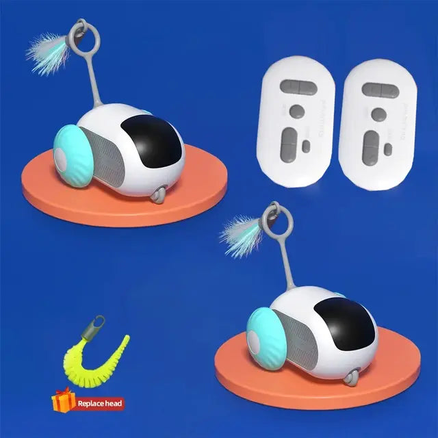 Remote Controlled Car Interactive Pet Toy