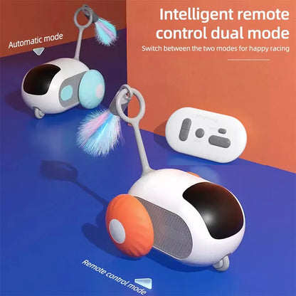 Remote Controlled Car Interactive Pet Toy