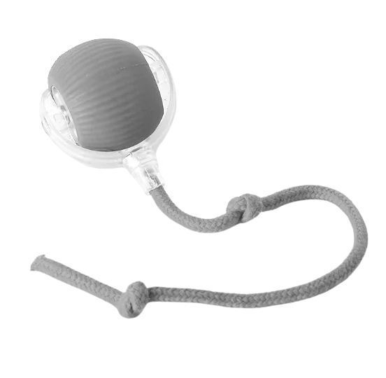Magic Tail Interactive Cat Toy
