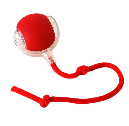Magic Tail Interactive Cat Toy