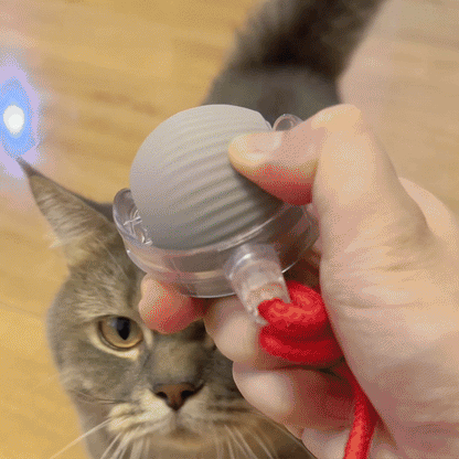 Magic Tail Interactive Cat Toy