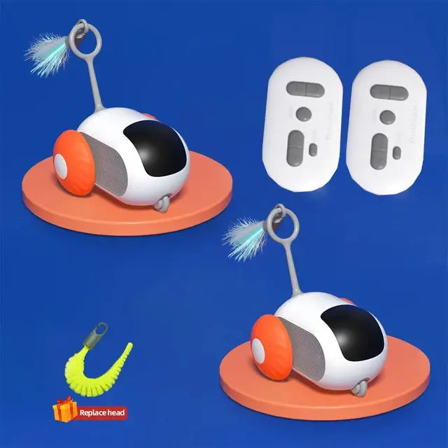 Remote Controlled Car Interactive Pet Toy