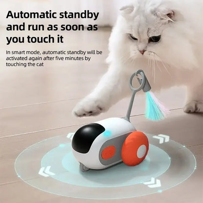 Remote Controlled Car Interactive Pet Toy