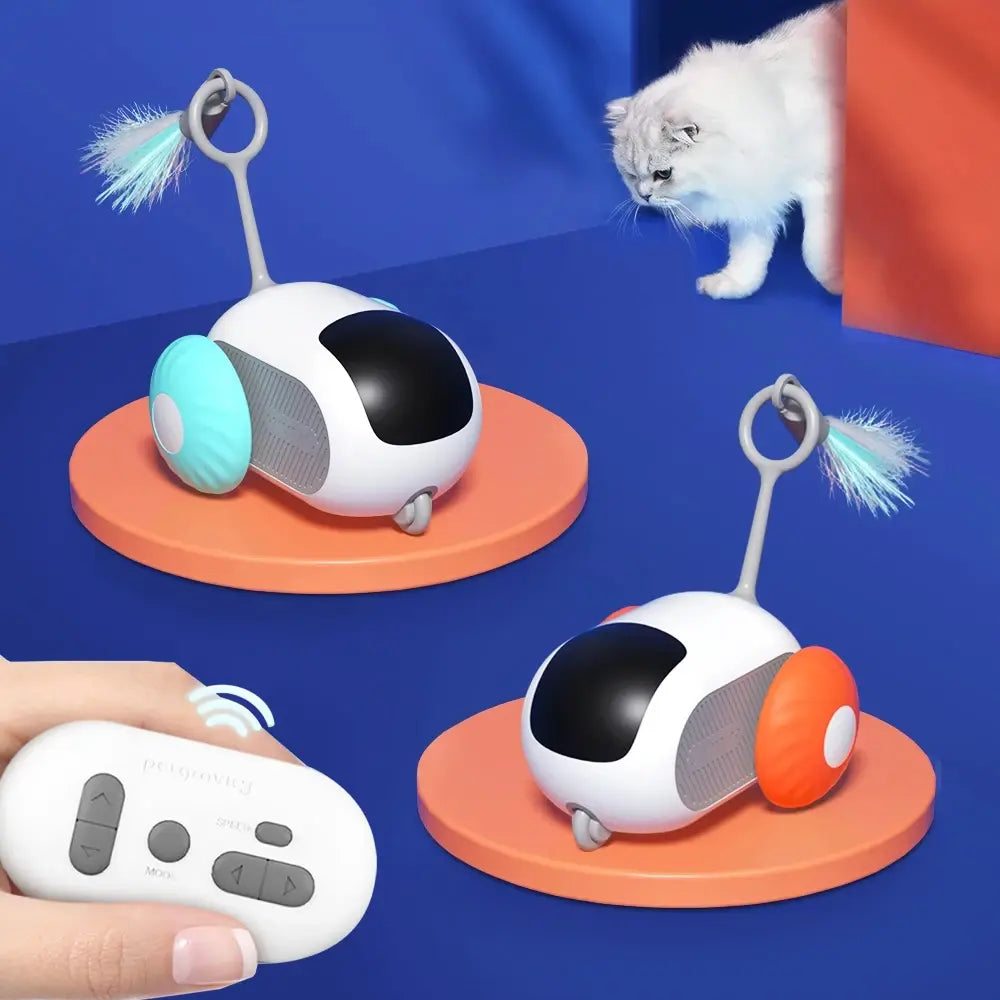Remote Controlled Car Interactive Pet Toy