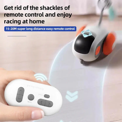 Remote Controlled Car Interactive Pet Toy