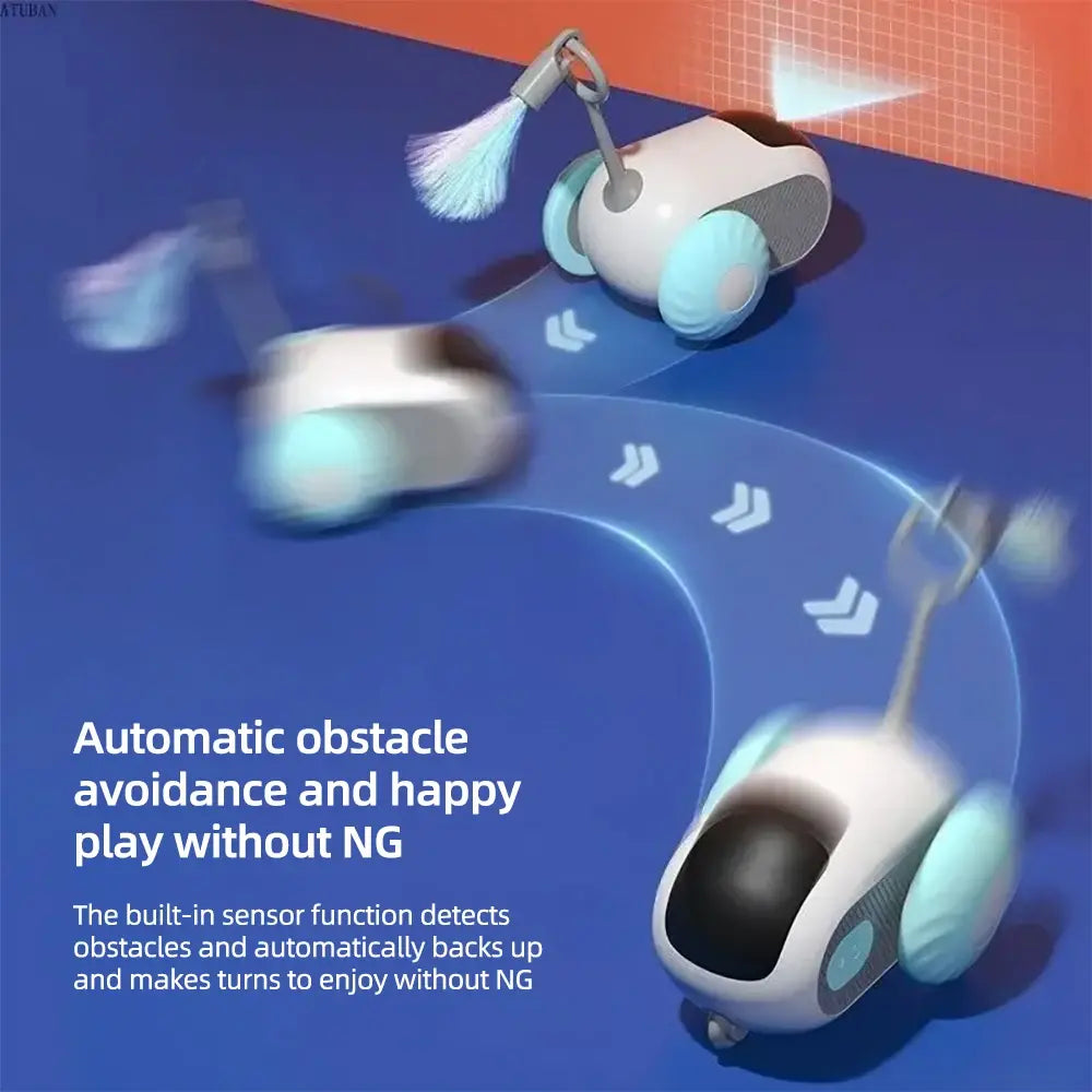Remote Controlled Car Interactive Pet Toy