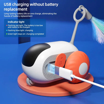 Remote Controlled Car Interactive Pet Toy